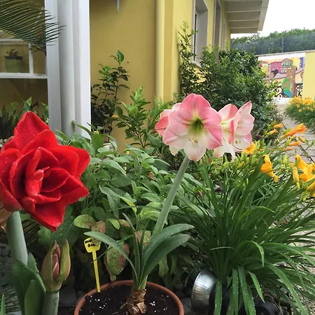 La Casa (adults Only) 바리