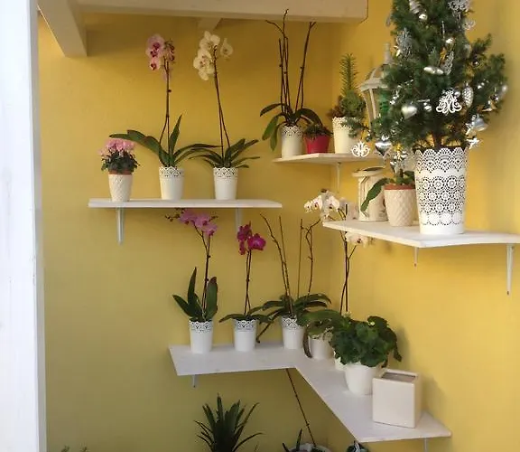 La Casa (adults Only) 3*