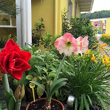 La Casa (adults Only) Bed & Breakfast 3*