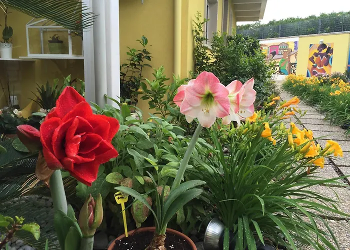 La Casa (adults Only) バーリ